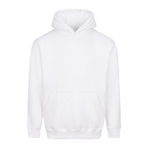 Awdis Unisex Adult Vision Heavyweight Hoodie / Arctic White